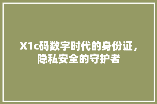 X1c码数字时代的身份证，隐私安全的守护者