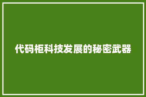 代码柜科技发展的秘密武器