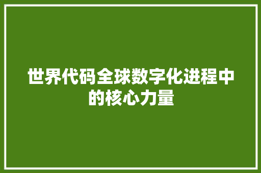 世界代码全球数字化进程中的核心力量
