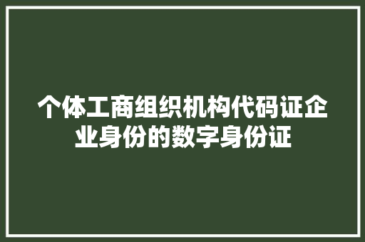 个体工商组织机构代码证企业身份的数字身份证