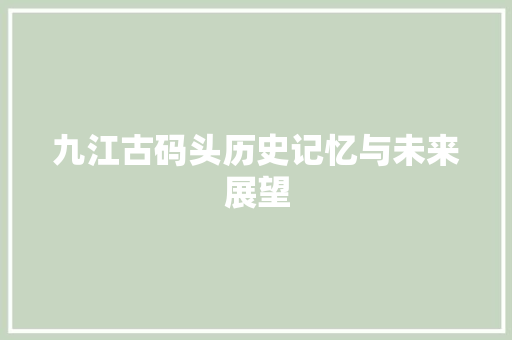 九江古码头历史记忆与未来展望