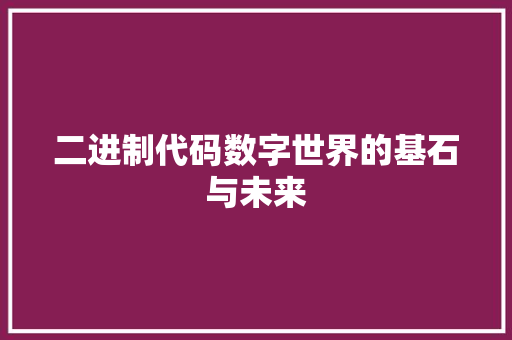 二进制代码数字世界的基石与未来