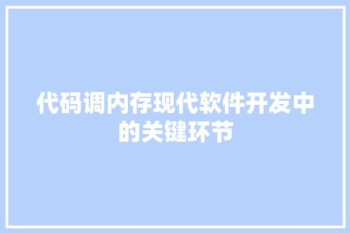 代码调内存现代软件开发中的关键环节