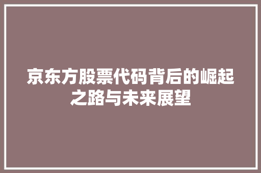 京东方股票代码背后的崛起之路与未来展望