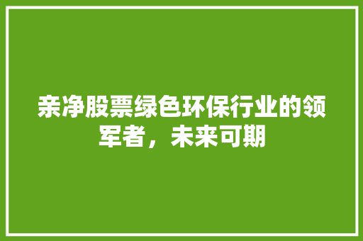 亲净股票绿色环保行业的领军者，未来可期