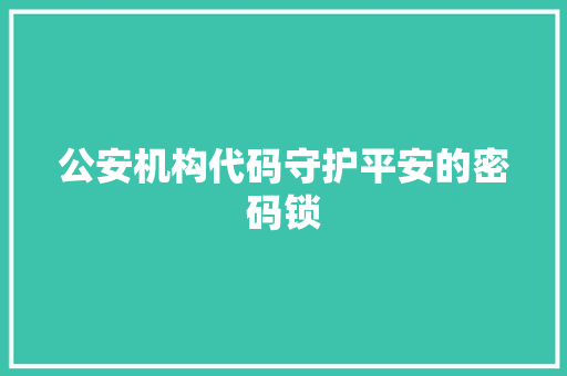公安机构代码守护平安的密码锁