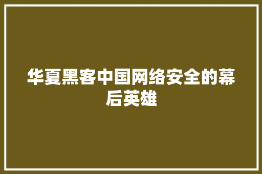 华夏黑客中国网络安全的幕后英雄