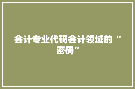 会计专业代码会计领域的“密码”