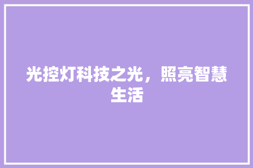光控灯科技之光，照亮智慧生活