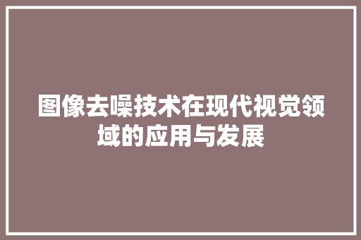 图像去噪技术在现代视觉领域的应用与发展