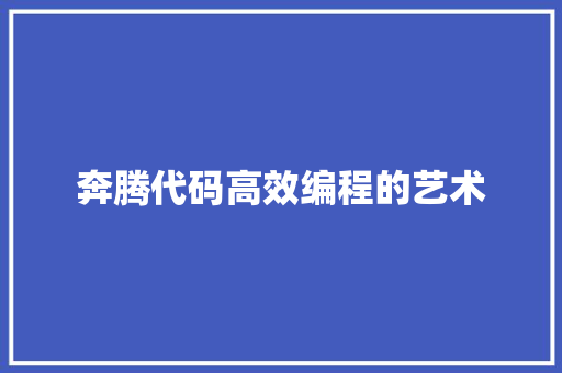 奔腾代码高效编程的艺术