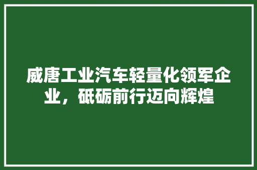 威唐工业汽车轻量化领军企业，砥砺前行迈向辉煌