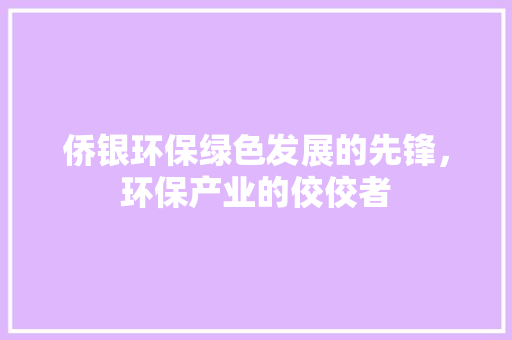 侨银环保绿色发展的先锋，环保产业的佼佼者