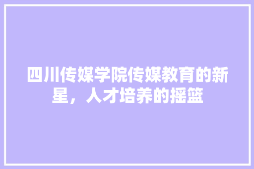 四川传媒学院传媒教育的新星，人才培养的摇篮