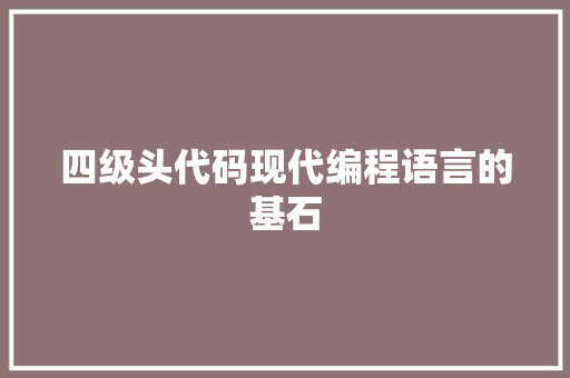 四级头代码现代编程语言的基石