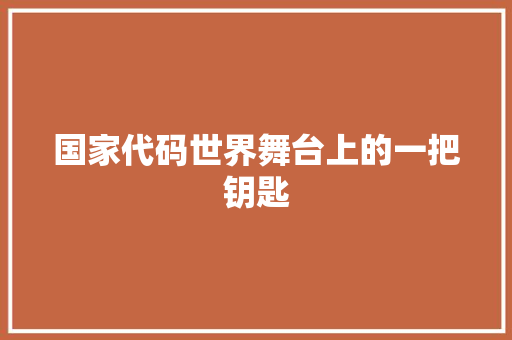 国家代码世界舞台上的一把钥匙