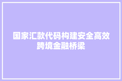 国家汇款代码构建安全高效跨境金融桥梁