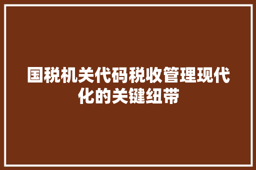 国税机关代码税收管理现代化的关键纽带