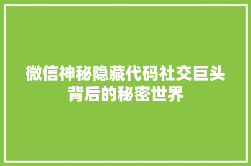 微信神秘隐藏代码社交巨头背后的秘密世界