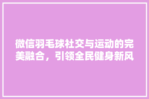 微信羽毛球社交与运动的完美融合，引领全民健身新风尚