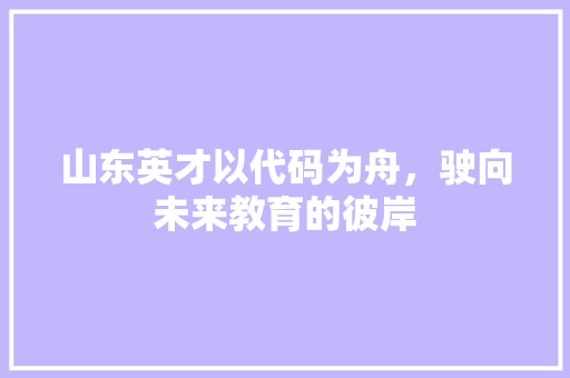 山东英才以代码为舟，驶向未来教育的彼岸