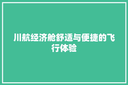 川航经济舱舒适与便捷的飞行体验