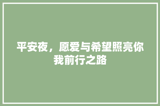 平安夜，愿爱与希望照亮你我前行之路