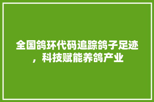 全国鸽环代码追踪鸽子足迹，科技赋能养鸽产业