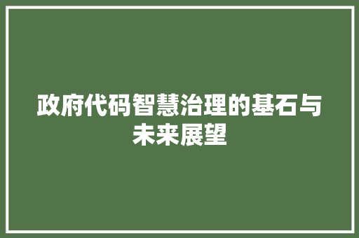 政府代码智慧治理的基石与未来展望
