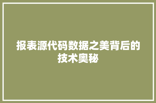 报表源代码数据之美背后的技术奥秘