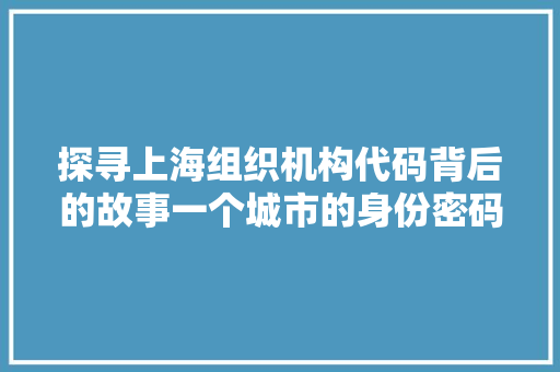 探寻上海组织机构代码背后的故事一个城市的身份密码