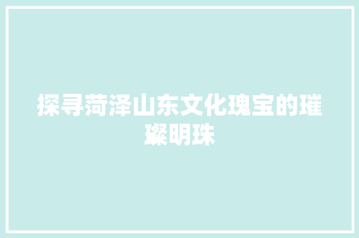 探寻菏泽山东文化瑰宝的璀璨明珠
