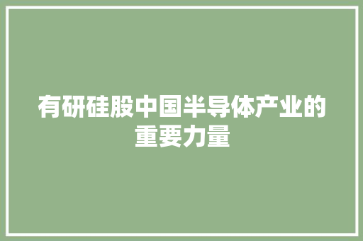 有研硅股中国半导体产业的重要力量