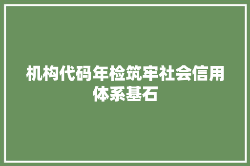 机构代码年检筑牢社会信用体系基石