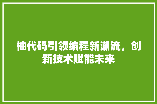 柚代码引领编程新潮流，创新技术赋能未来