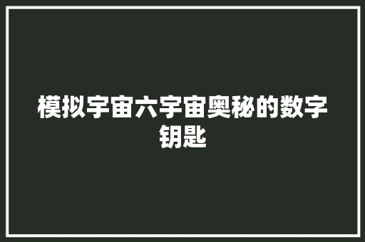 模拟宇宙六宇宙奥秘的数字钥匙