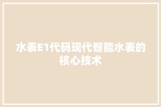 水表E1代码现代智能水表的核心技术