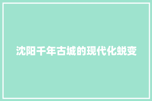 沈阳千年古城的现代化蜕变