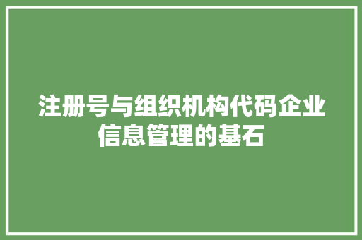 注册号与组织机构代码企业信息管理的基石