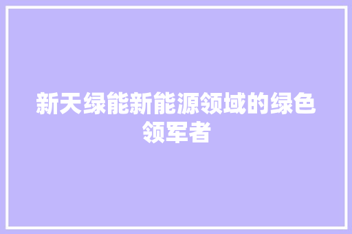 新天绿能新能源领域的绿色领军者