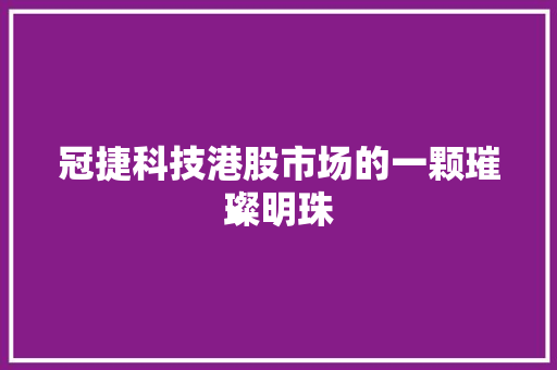 冠捷科技港股市场的一颗璀璨明珠