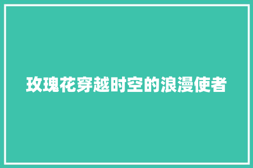 玫瑰花穿越时空的浪漫使者  第1张