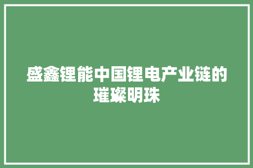 盛鑫锂能中国锂电产业链的璀璨明珠