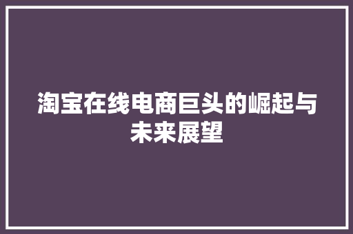 淘宝在线电商巨头的崛起与未来展望