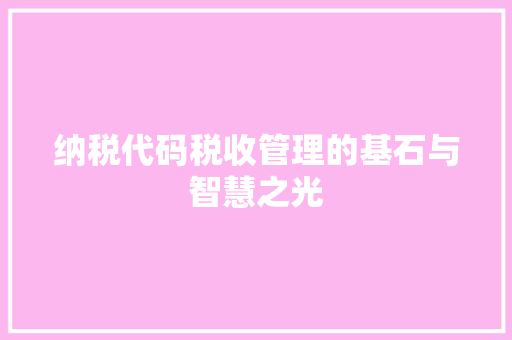 纳税代码税收管理的基石与智慧之光