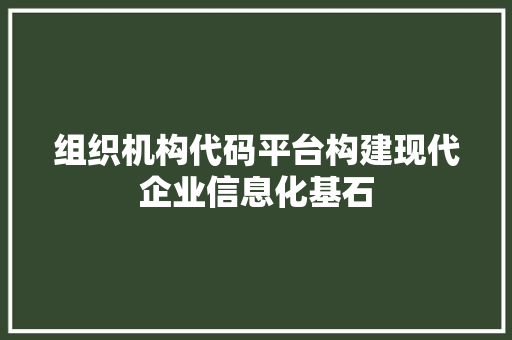 组织机构代码平台构建现代企业信息化基石