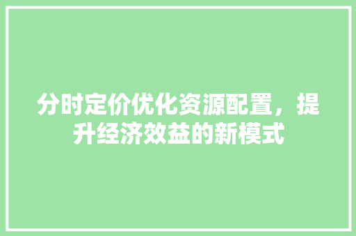分时定价优化资源配置，提升经济效益的新模式