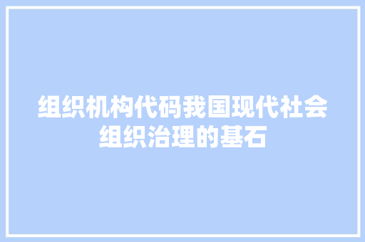 组织机构代码我国现代社会组织治理的基石