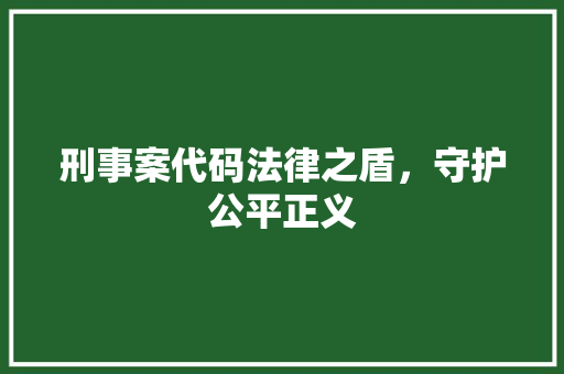 刑事案代码法律之盾，守护公平正义