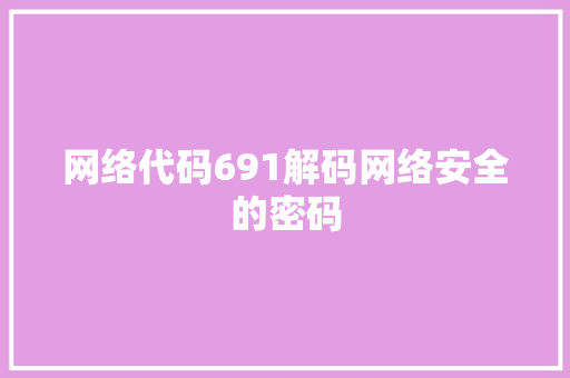 网络代码691解码网络安全的密码